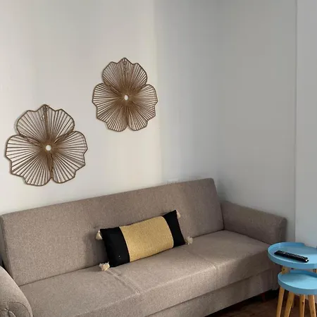 Bright-house Center Apartment *
